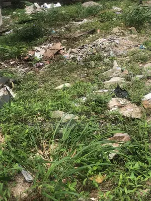 Prime 3300sqm Land on Adeola Odeku Street Vi