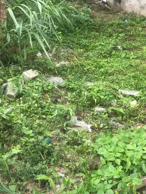 2424sqm Victoria Prime Land Off Adeola Odeku