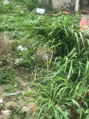 1600sqm Victoria Prime Land Off Sanusi Fagunwa