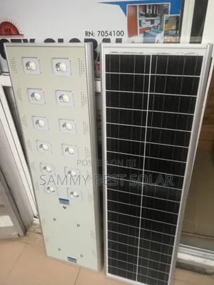 100 Watts D2 Cworth Solar Street Light
