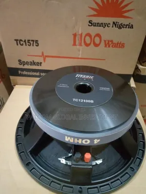 Photo - Titanic 12inches Speaker