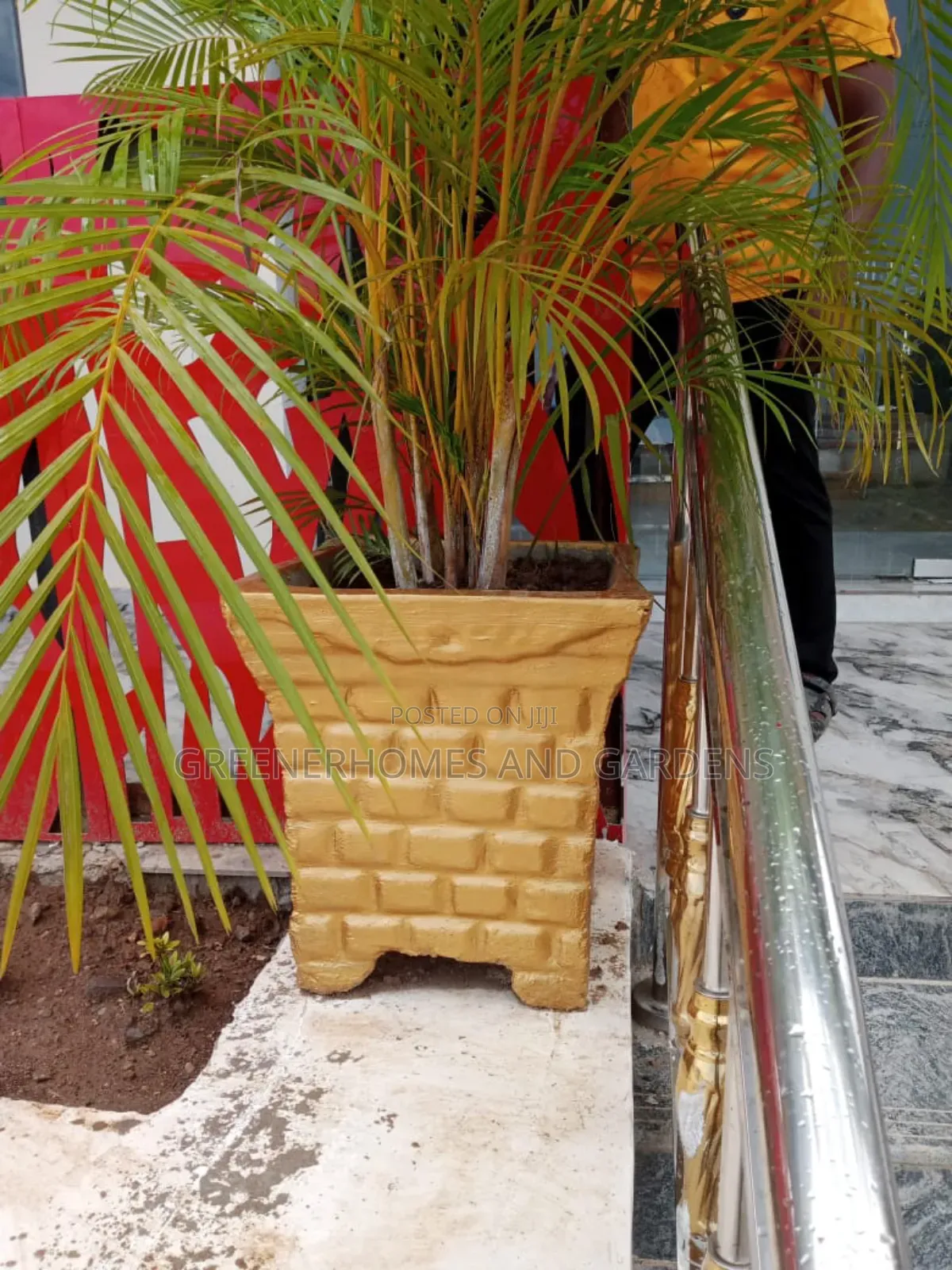 Concrete Pots