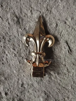 Gold Stainless Gate Arrow