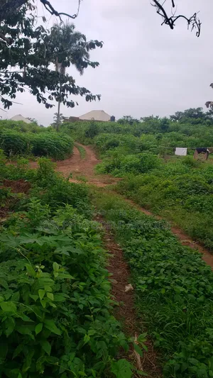 Photo - Lands Near Laderin,Abk