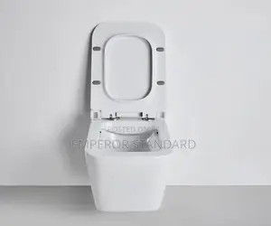 Wall Hung Wc White Conceal Wc (Payment on Delivery)