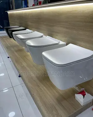 Wall Hung Wc White Conceal Wc (Payment on Delivery)