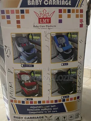 Photo - Baby Car Sitter