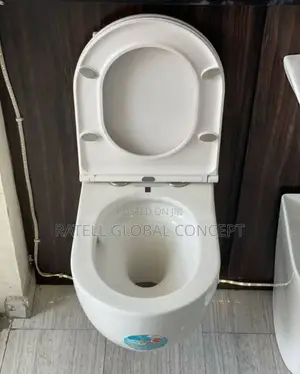 White Concealed Cistern Toilet