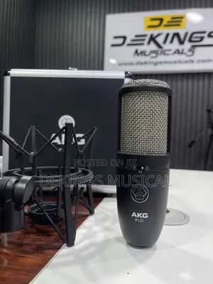 Akg P420 Cardioid Condenser Studio Microphone