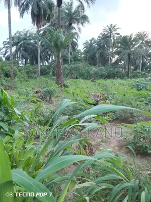 5 Plots at New Layout
