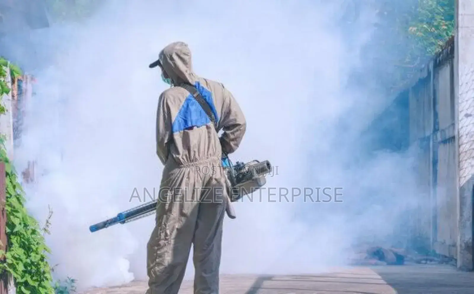 Get Rid of Bedbugs Today