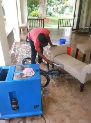 Spotless Carpet and Upholstery Cleaning