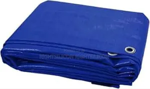 Usa 3 X 3 M Blue Tarpaulin Waterproof Tarp Sheet Cover