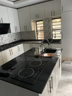 Double Burner Built in Infrared Cooker