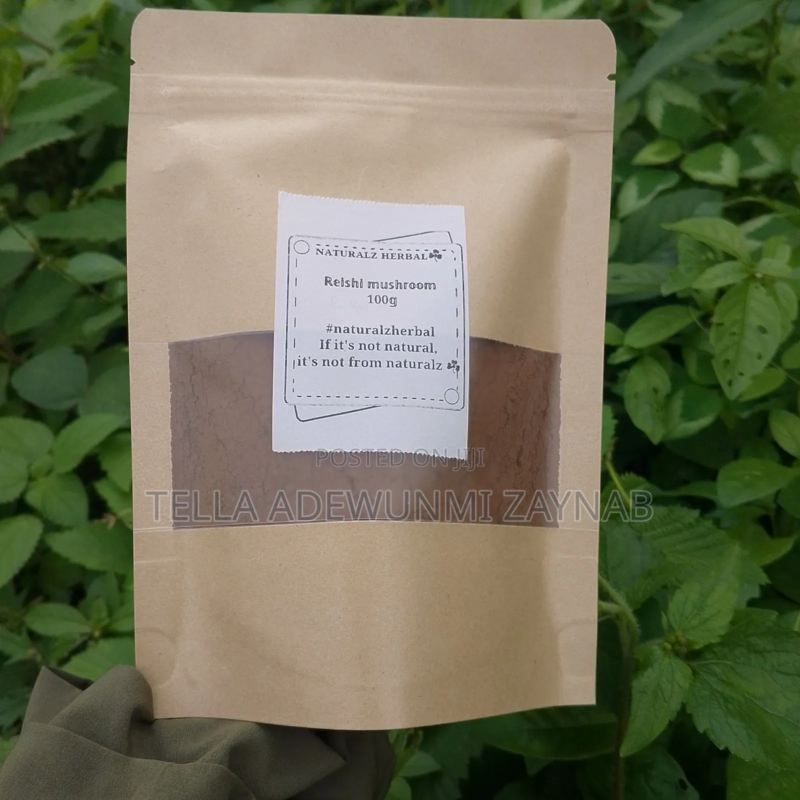 Reishi Mushroom 100g