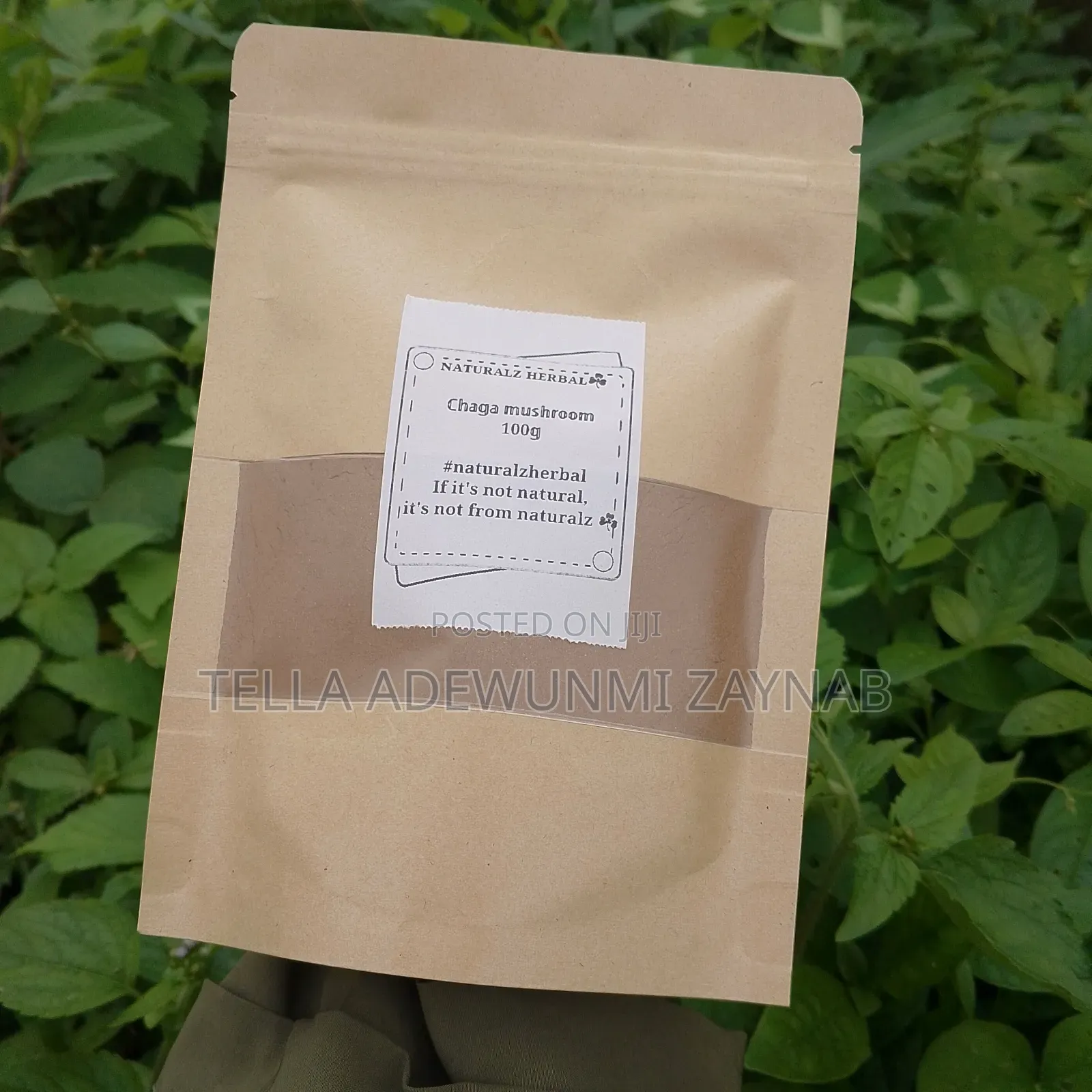 Chaga Mushroom 100g