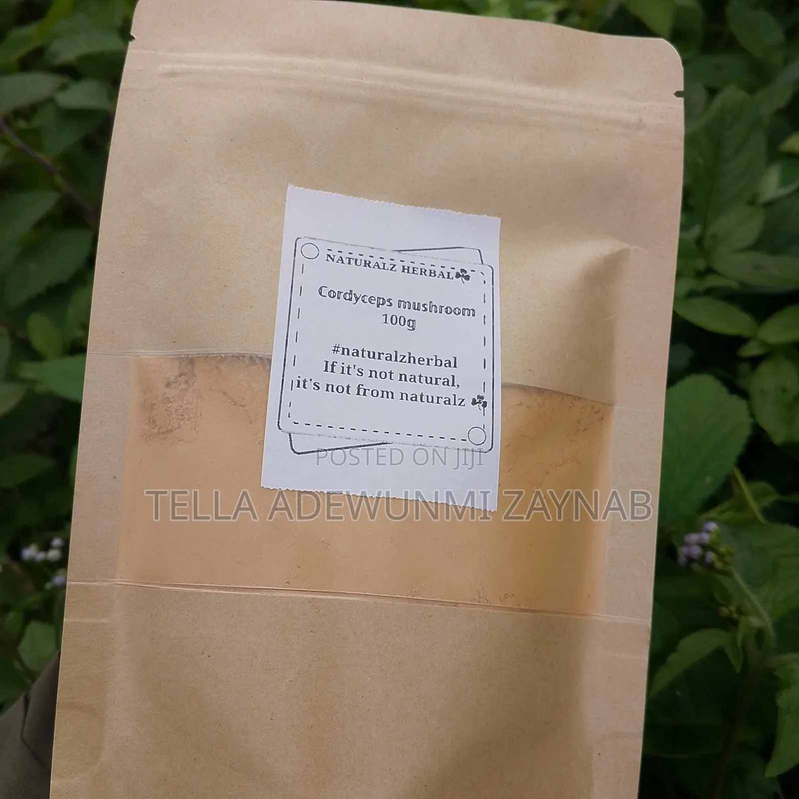 Cordyceps Mushroom 100g