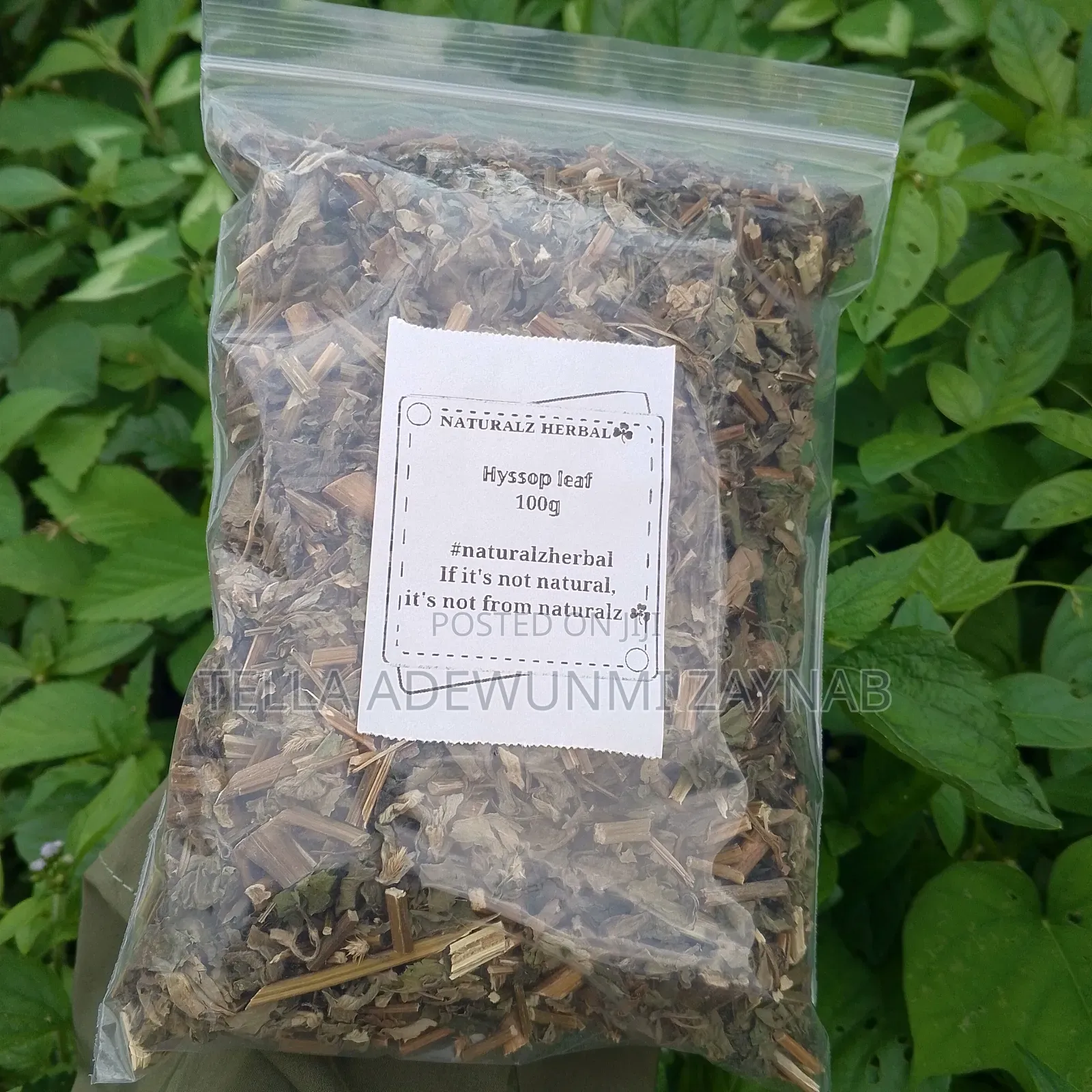 Hyssop Leaf 100g