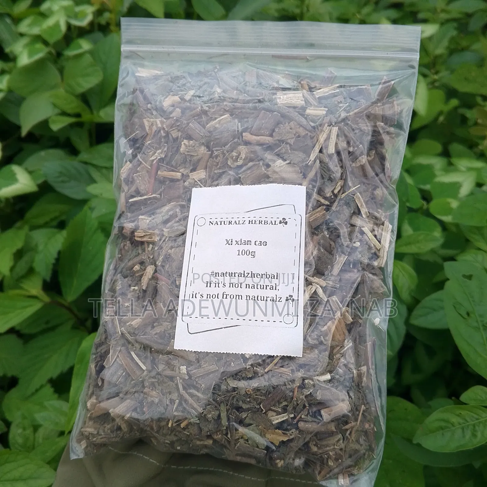 Xi Xian Cao , St Paul Wort 100g