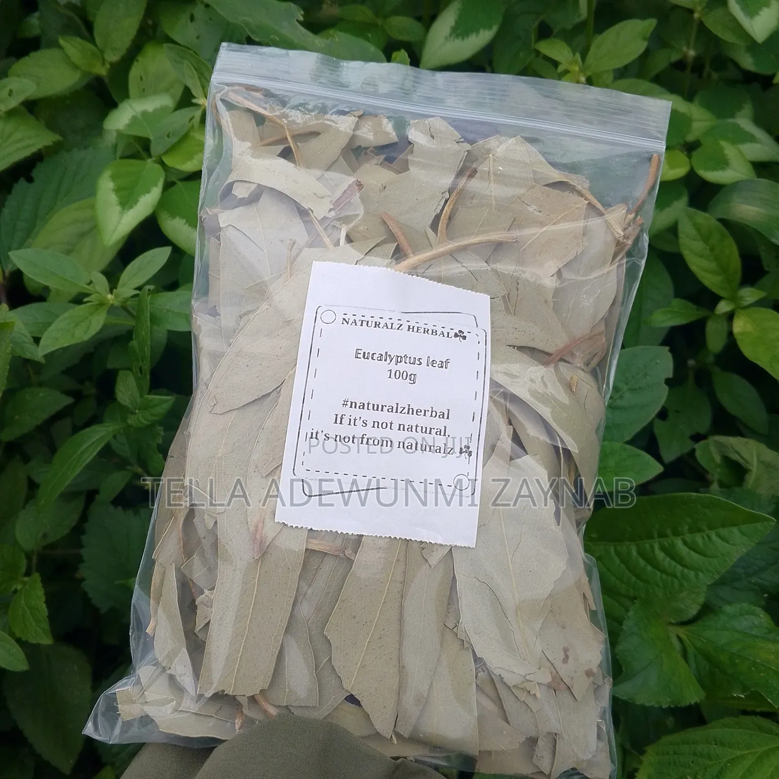 Eucalyptus Leaf -100g