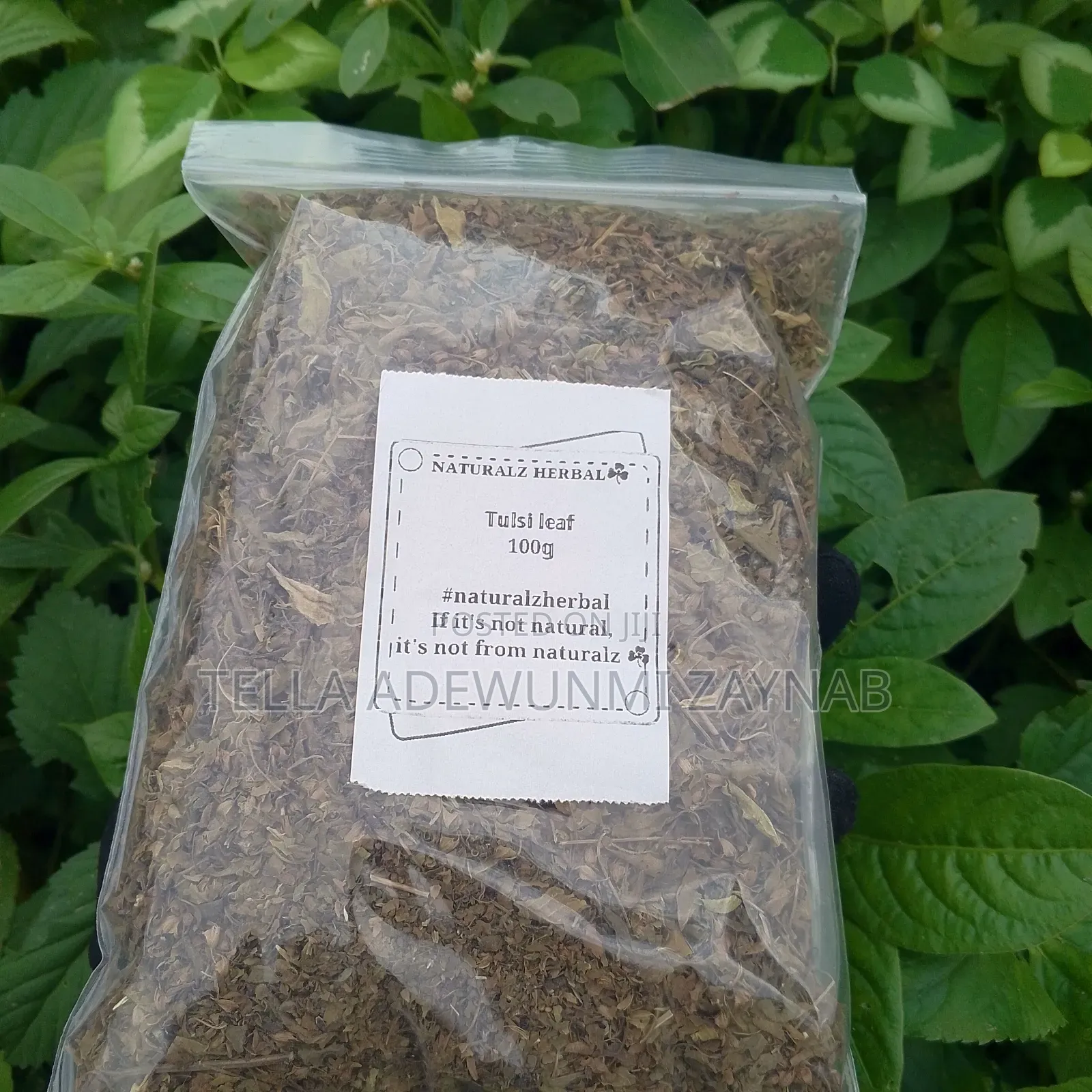 Tulsi Leaf 100g