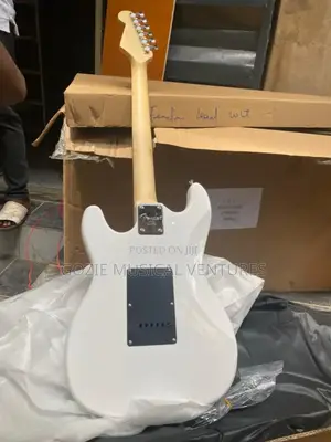 Fender Stratocaster Electric Guitar