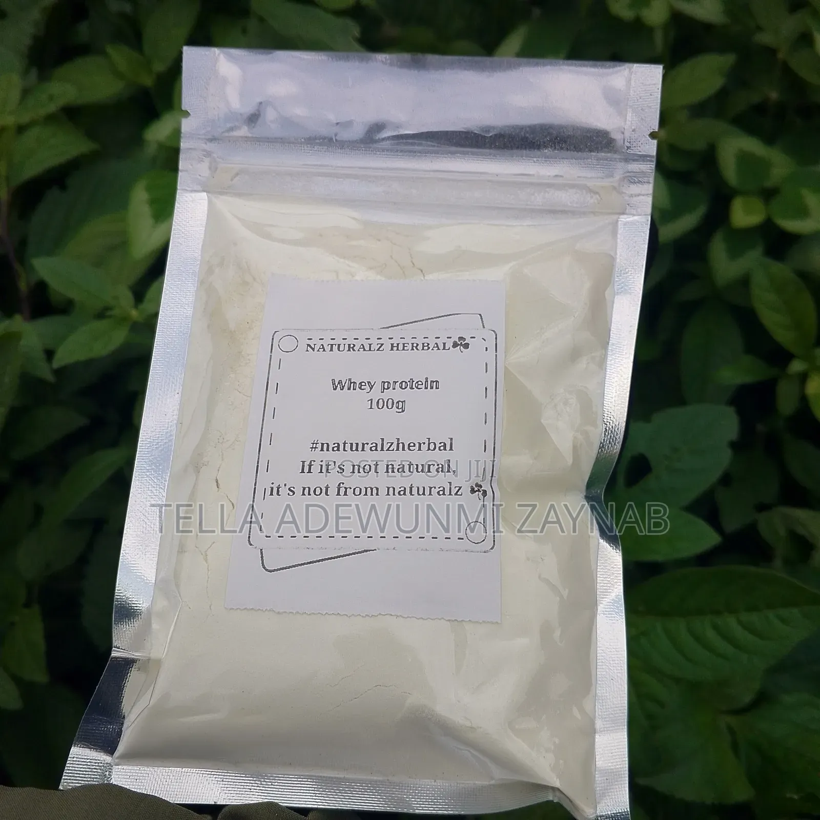 Whey Protein 100g