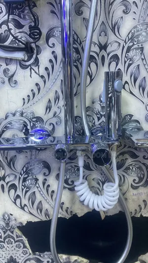 Stainless Standing Shower