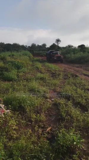 Get In Fast Into Silver Crest Estate, Aba