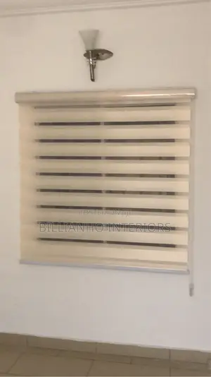 Shiny Cream Day Night Window Blinds