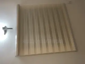 Shiny Cream Day Night Window Blinds