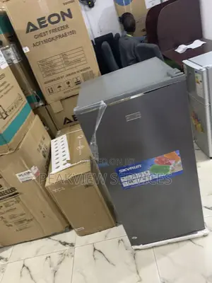 Dependable Cooling, Everyday –Skyrun 160l Double Door Fridge