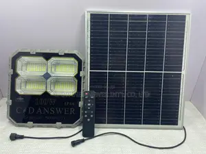 100w Solar Flood Light- C Divine