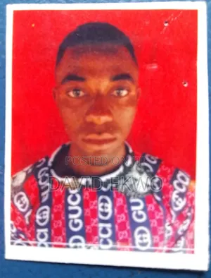 Mr. Ekwo Enokela