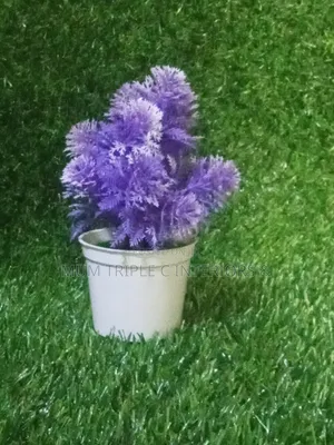 Mini Cups Flowers 🌺
