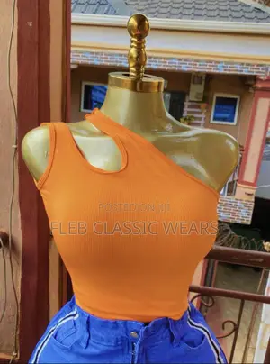 Imported Ladies Crop Top