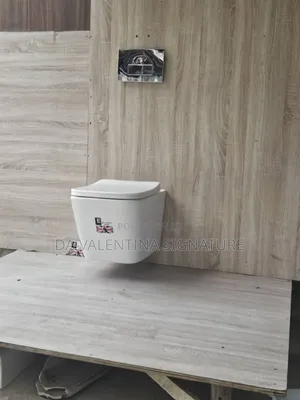 High Quality Conceal Water Closet