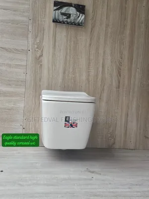 High-Quality Conceal Water Closet