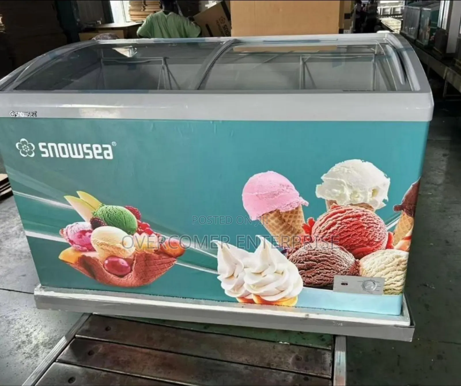Snowsea Deep Display Freezer