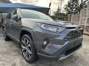 Toyota RAV4 Limited AWD 2019 Gray
