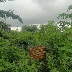 6 Plots of Land for Sale at Ekenwan Road With Cofo