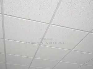 Acoustic/Suspended Ceiling Tiles