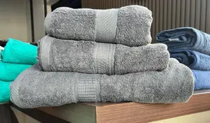 Absorbent Towels