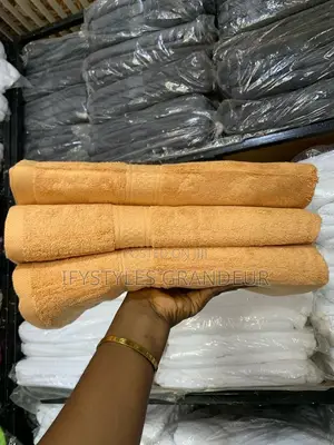 Absorbent Towels