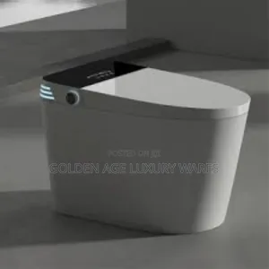 Executive White Smart Wc Automatic/Manual. Voice Control