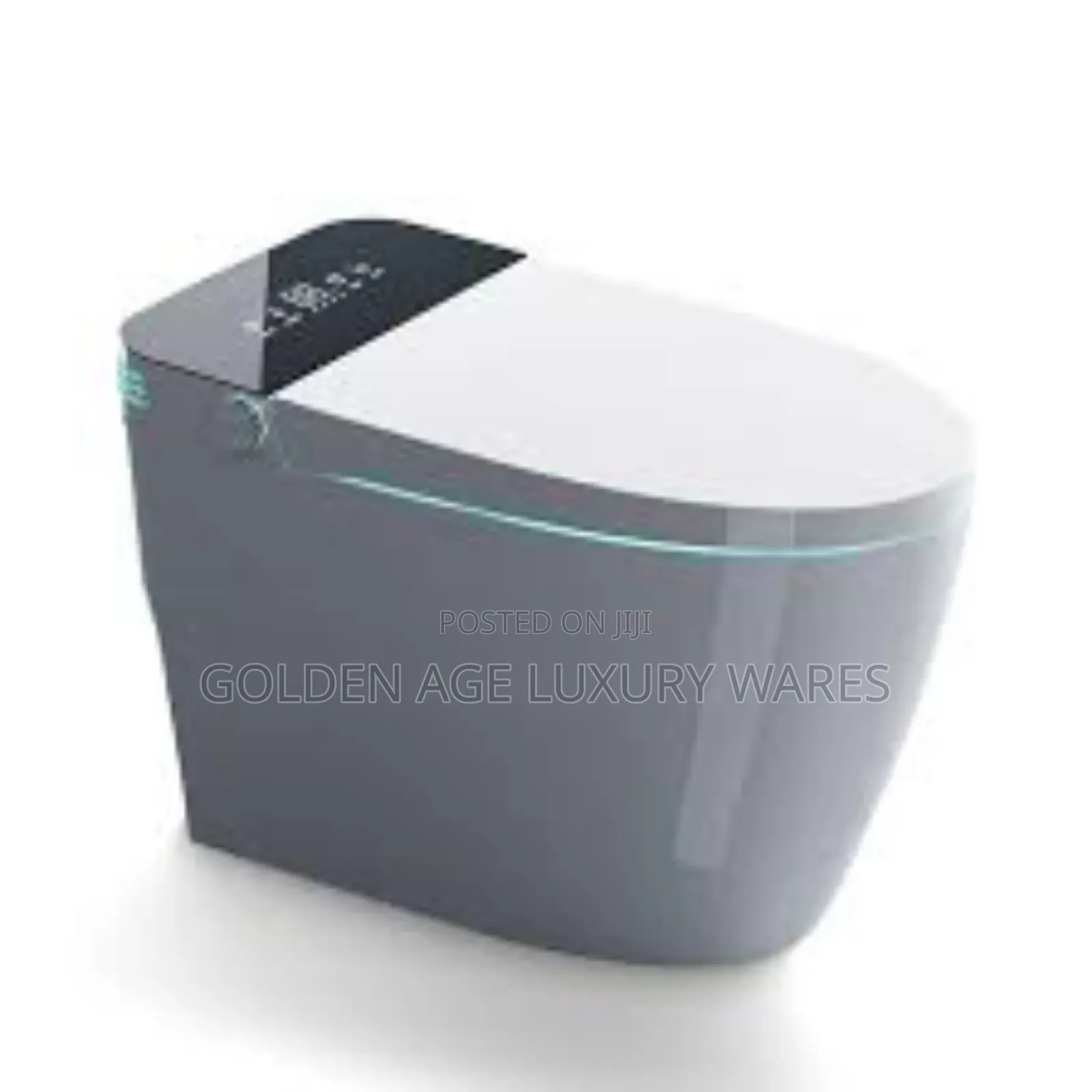 Executive White Smart Wc Automatic/Manual. Voice Control