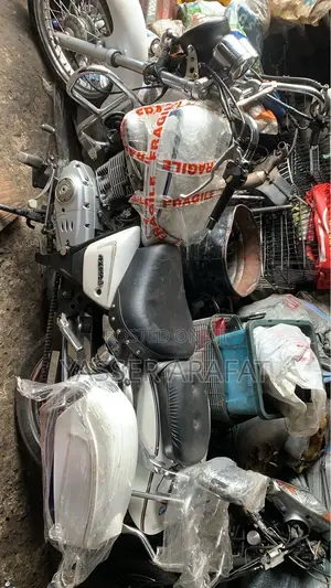 New Suzuki 2024 White