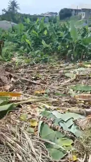 1054 Square Meters of Empty Land for Sale at Ikeja
