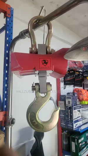Crane Scale
