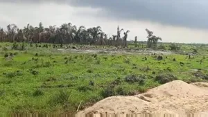 6 Plots of Dry Land With C of O for Sale